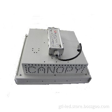 High Efficient smart 80W LED Canopy Light with Warm or Cool White